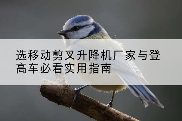 龙胜各族电动升降机厂家-选移动剪叉升降机厂家与登高车必看实用指南