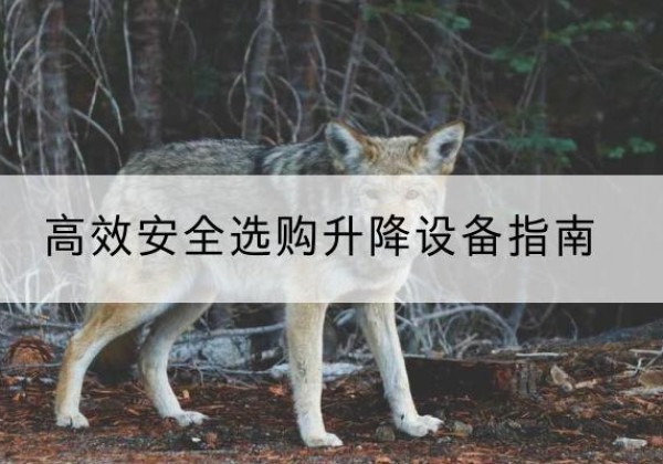 龙胜各族升降货梯厂家推荐-*安全选购升降设备指南
