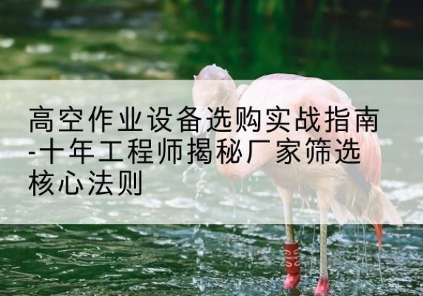 龙胜各族剪叉式升降机厂家-高空作业设备选购实战指南-十年工程师揭秘厂家筛选核心法则
